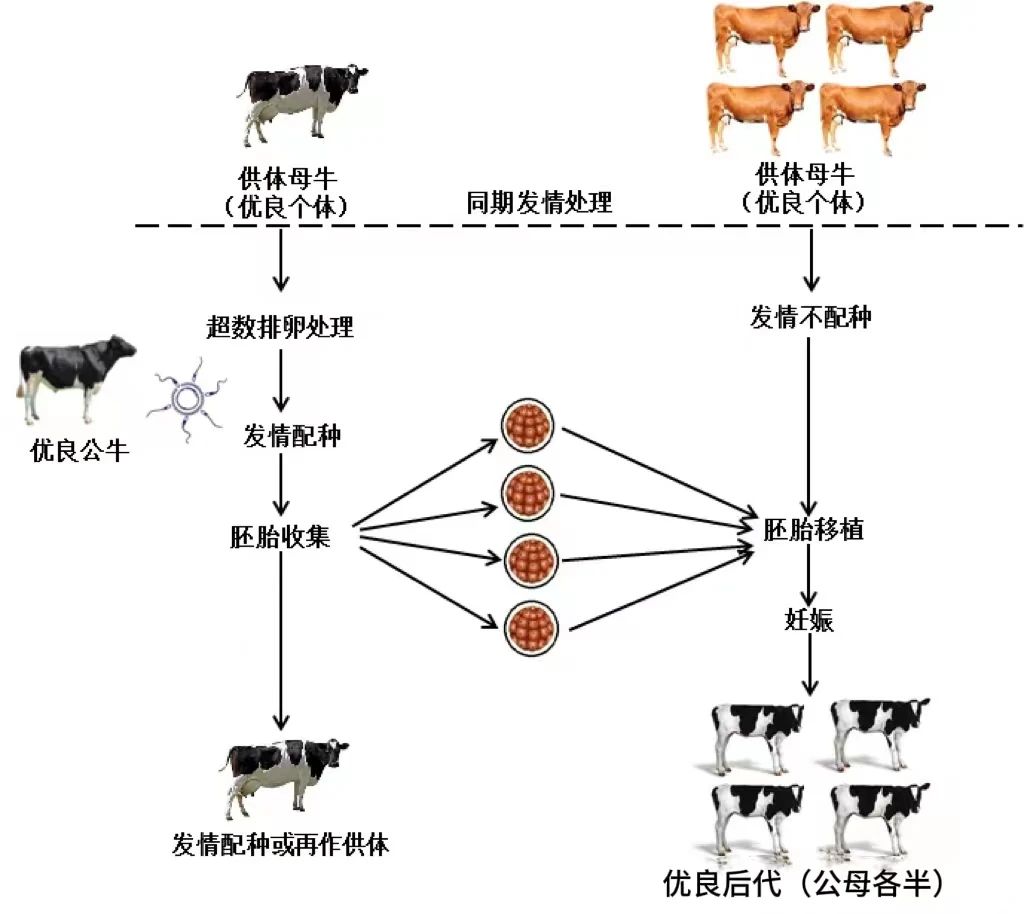 微信图片_20230707151433.jpg