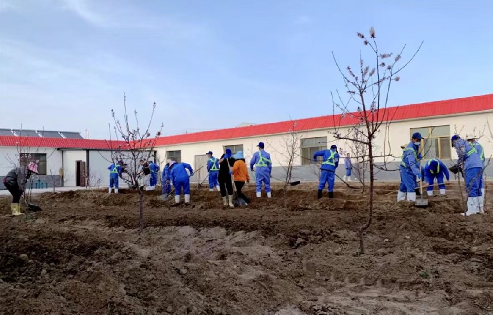 前进牧业燕塘传祁牧场组织员工植树为场区增添绿意